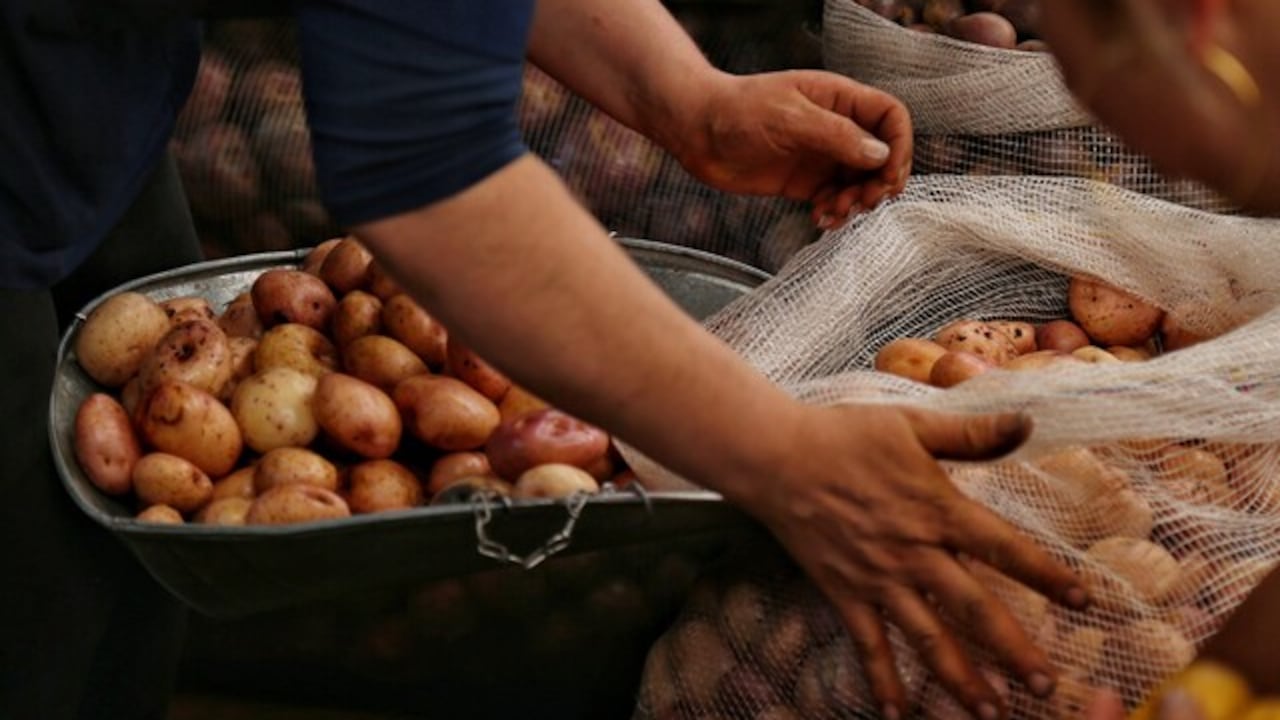 Así puede conservar las papas para evitar que se dañen