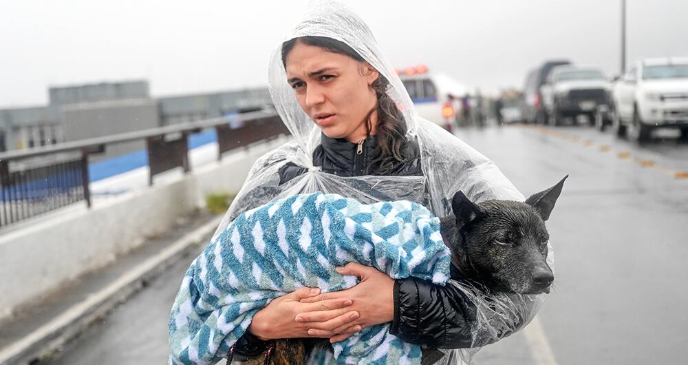 Los cambios de temperatura afectan tanto a humanos como a animales. 