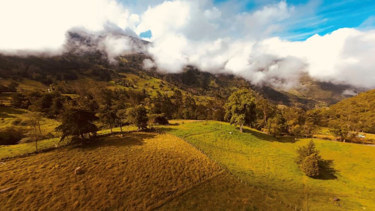 Corregimiento de Pangote