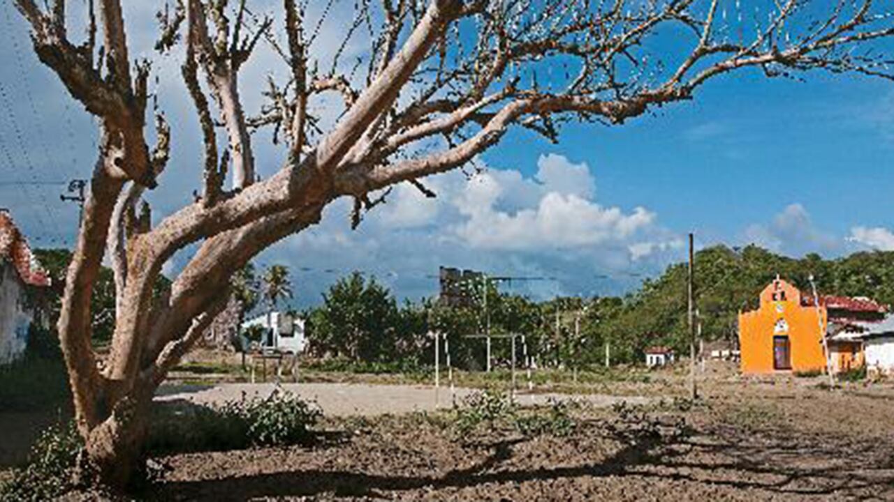 Paisaje comun del Salado en horas del dia. Al fondo se observa la iglesia y la cancha donde ocurrió la masacre. En este árbol amarraron, torturaron y asesinaron a Nayibis, supuesta amante de Martín caballero.
