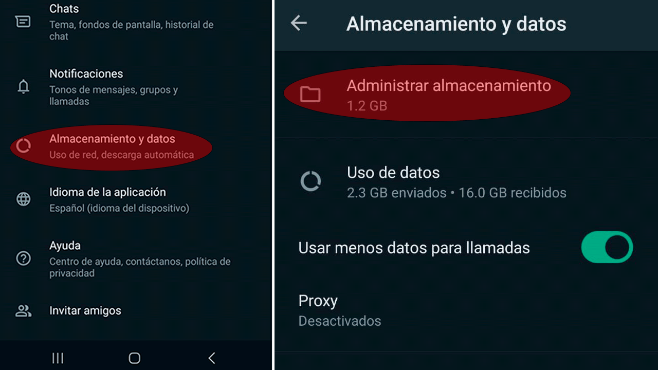 WhatsApp cuenta con una función que permite borrar los archivos innecesarios que guarda la app.