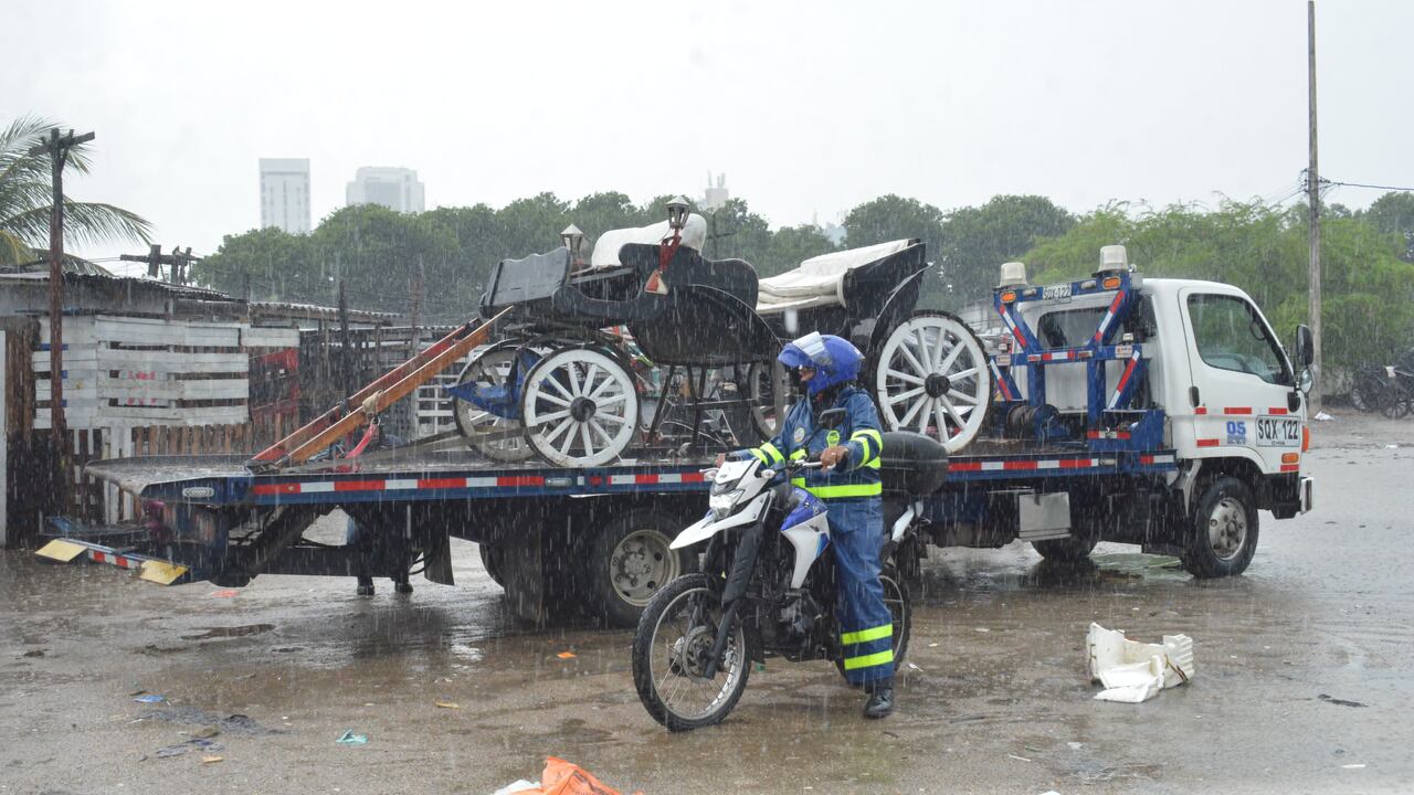 El coche fue inmovilizado.