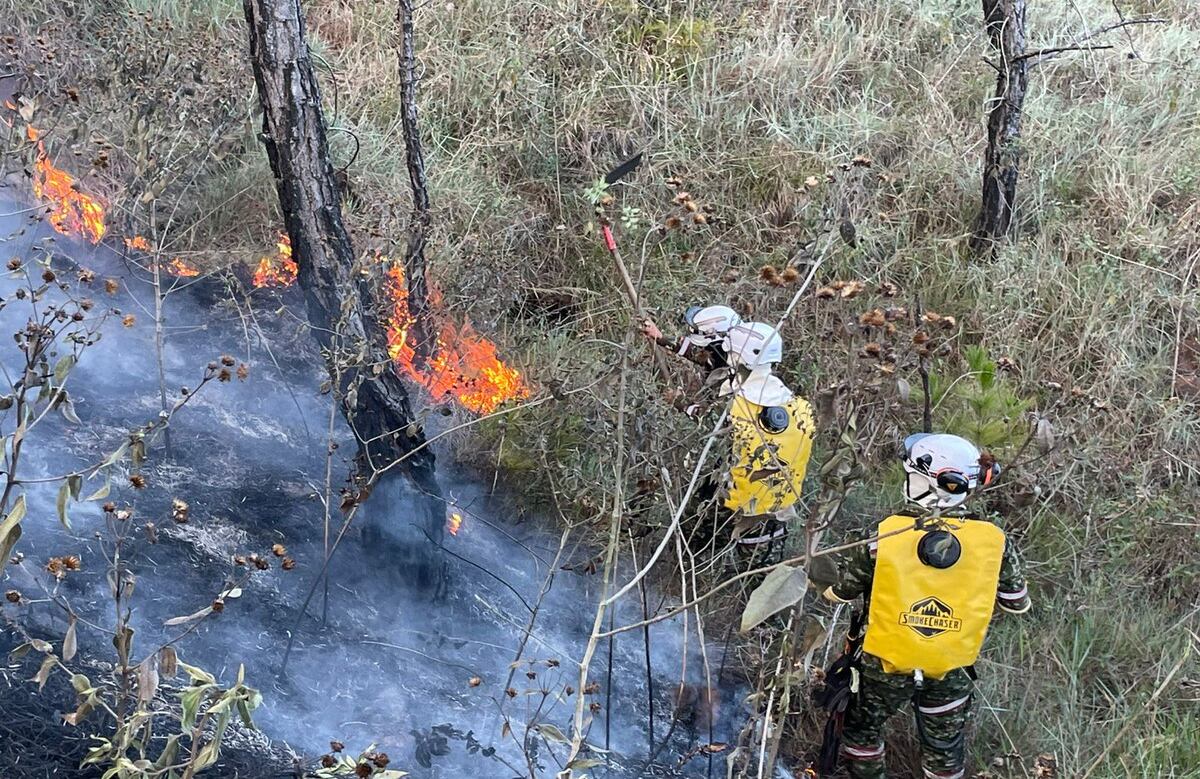 El incendio del cerro Quitasol consumió más de 84 hectáreas en tres días.