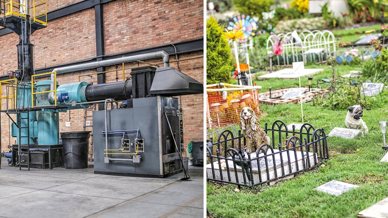 En Bogotá hay 15 funerarias que al día están cremando 30 mascotas. Los servicios se están ampliando a otras zonas del país.