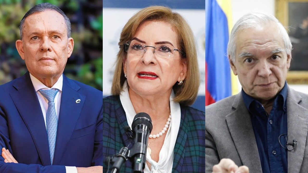 La procuradora reveló detalles de lo que está estudiando su entidad.