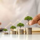 En el marco de los conflictos bélicos han surgido nuevas oportunidades de inversión en la producción agrícola.