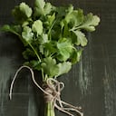 El cilantro no debe ser consumido en exceso por mujeres en embarazo o lactantes.