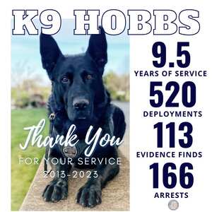 K-9 Hobbs