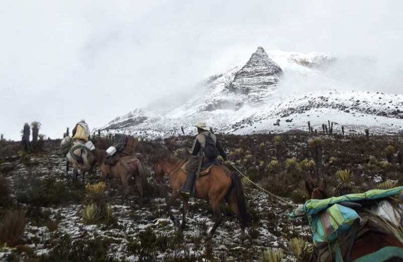 Las difíciles condiciones en zonas de páramos y nevados hacen del trabajo de geólogos y colaboradores de diferentes disciplinas del Servicio Geológico Colombiano un reto de compromiso que cumplen día a día. Fotos: cortesía del Servicio Geológico Colombiano.