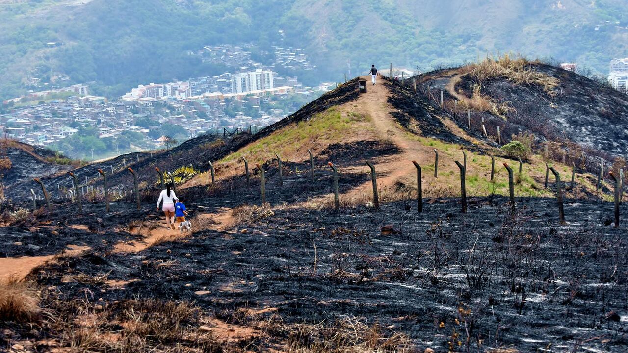 Este año se han reportado 20 invasiones masivas en los cerros de la ciudad se contabilizan 500 operativos para luchar con este delito.