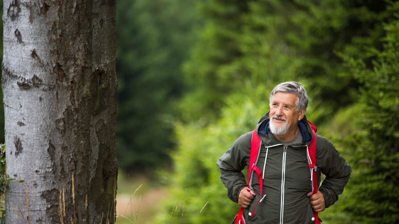 Según nuevos estudios la mejora de la calidad del aire puede reducir el riesgo de demencia.