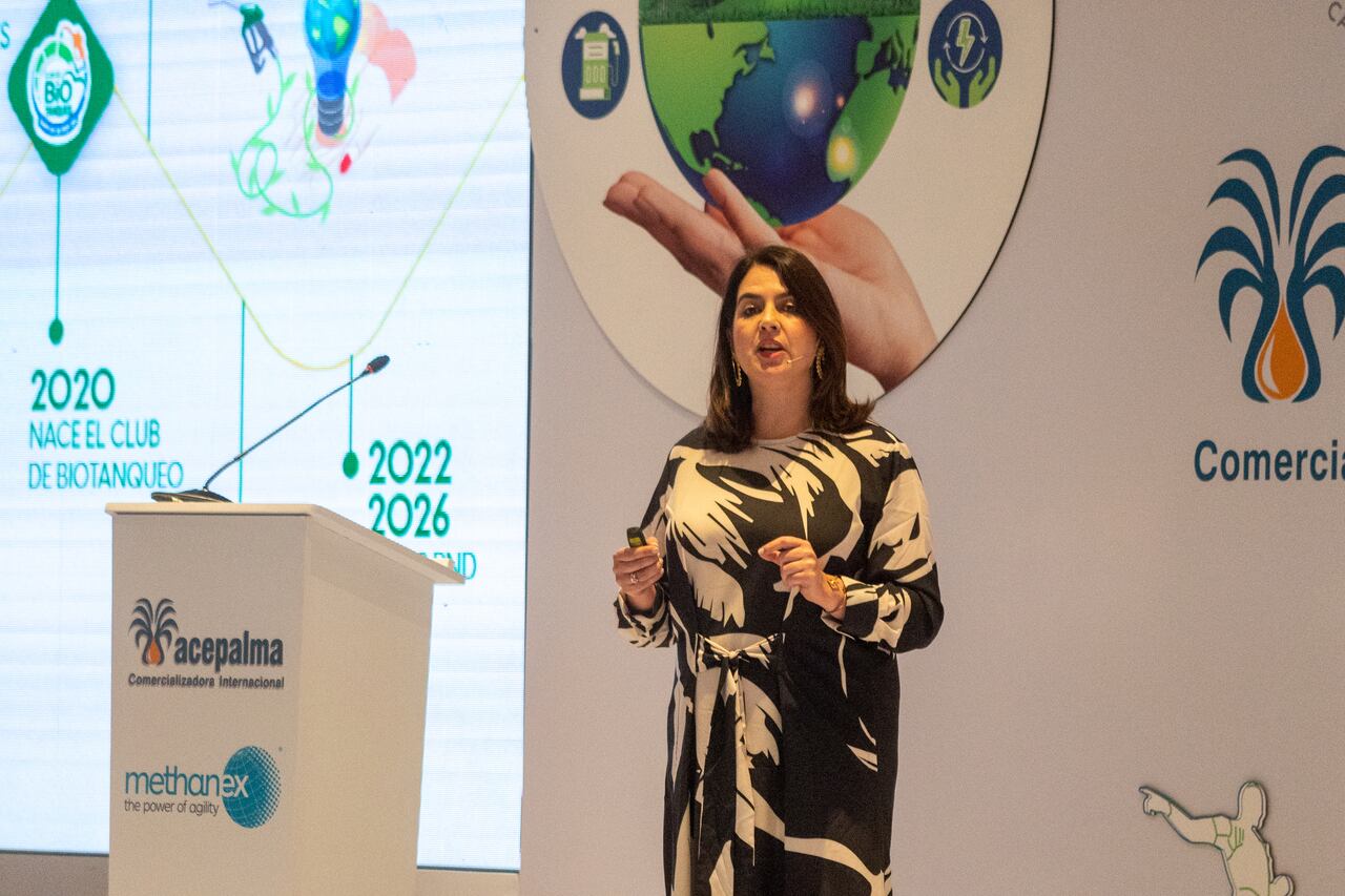 La meta es que para el 2030 el sector aeronáutico debe reducir sus emisiones de gases de efecto invernadero en 51 %.