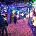 Noche de velitas en Jardin Botanico inicio de navidad
