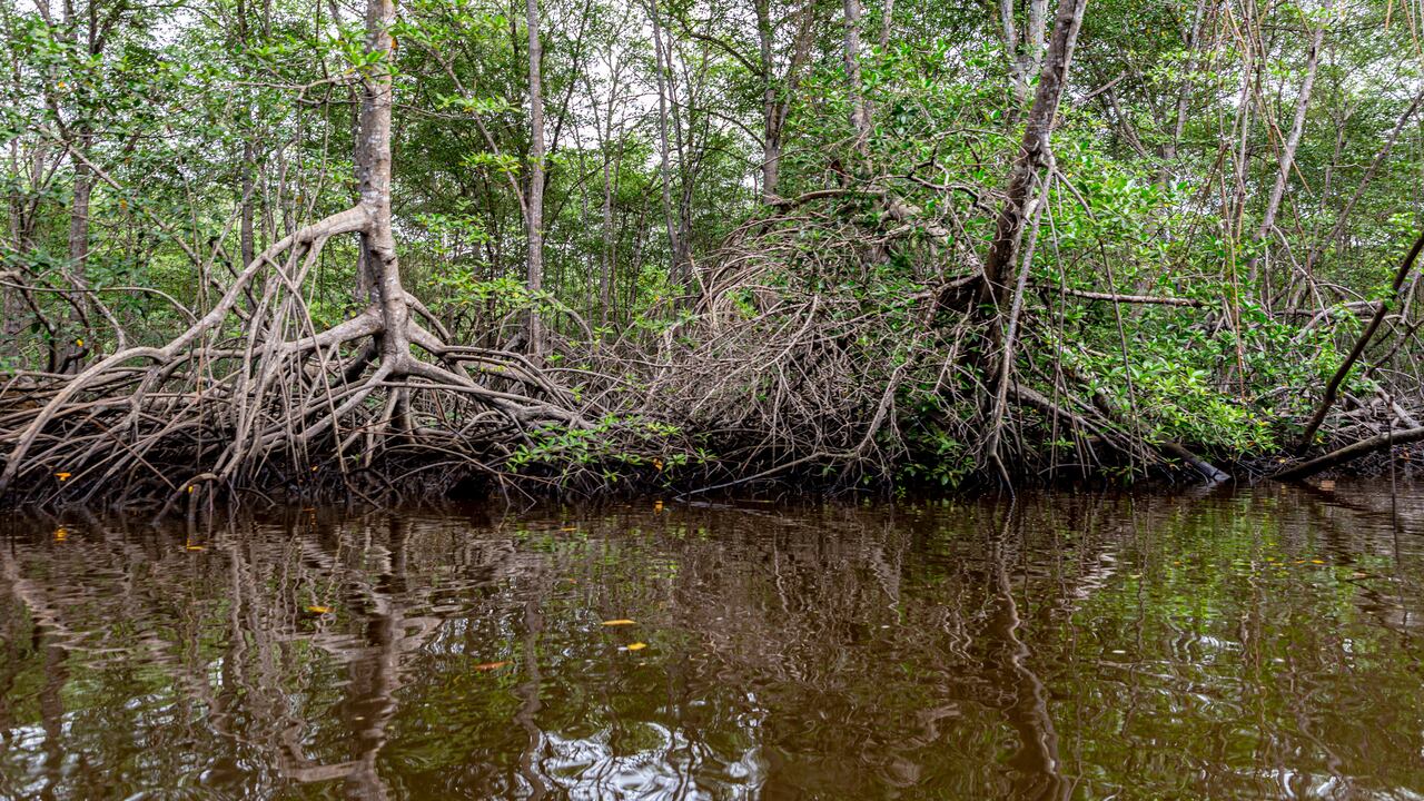 Entrevista Gobernador Nariño