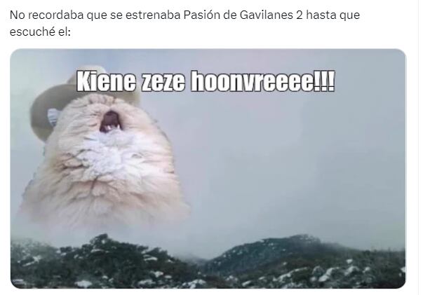 Memes de 'Pasión de gavilanes'