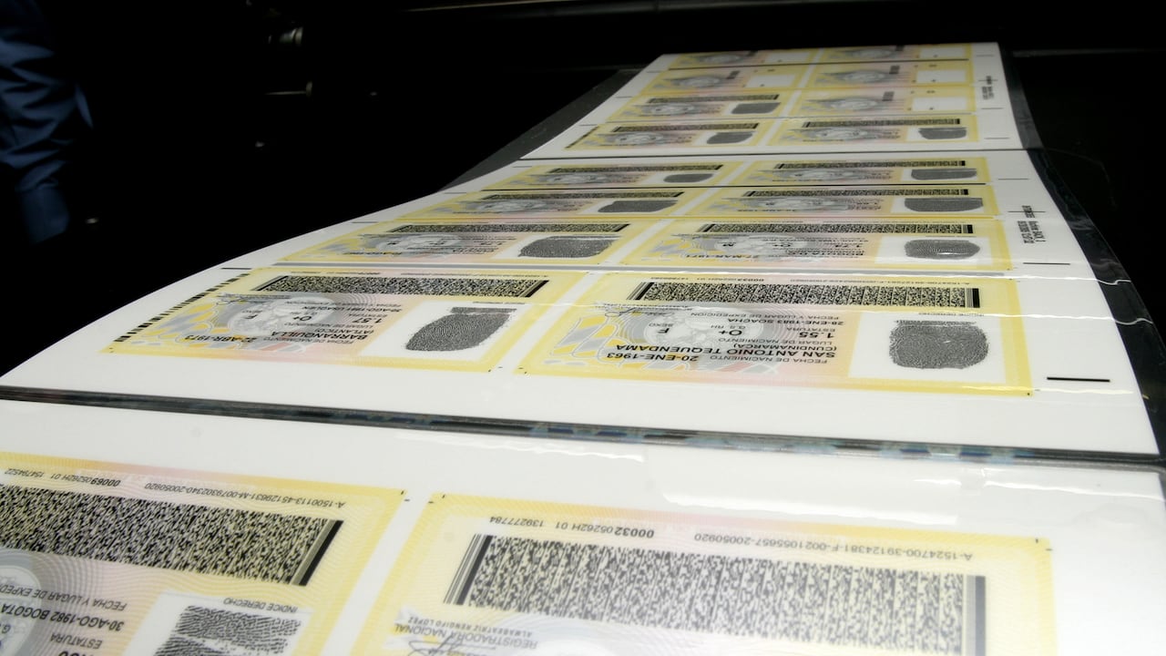 Las capturas se produjeron de forma simultánea en allanamientos adelantados en Ábrego y Sardinata en Norte de Santander.