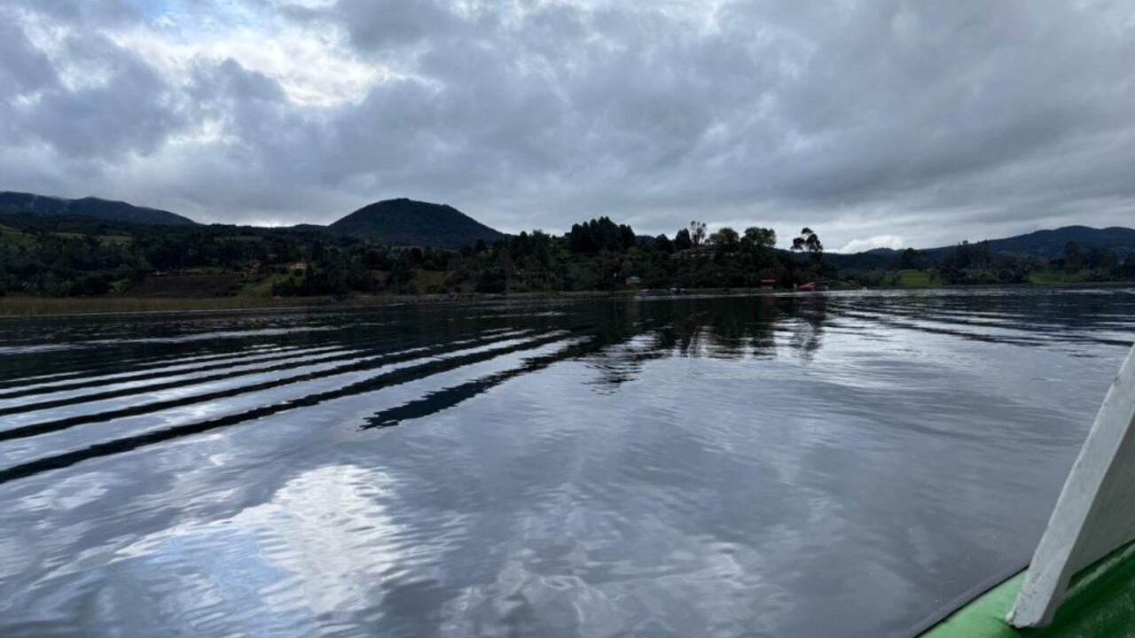 Así es el Santuario de Flora Isla de la Corota