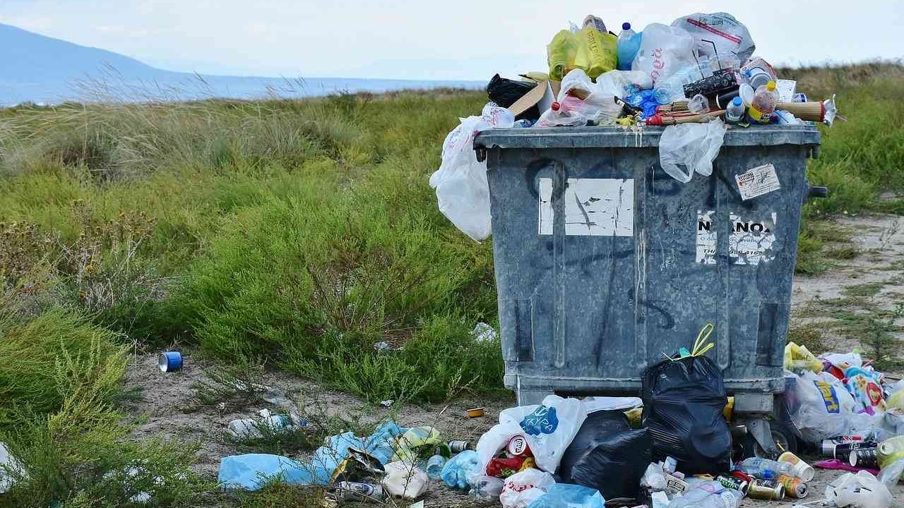 Conéctese con nosotros el próximo jueves 18 de junio, a las 4:00 p.m.