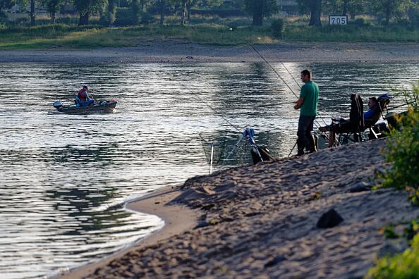 Son considerados como una amenaza para no solo para los peces nativos, sino también para la industria de la pesca recreativa y los ecosistemas acuáticos, por lo que el Departamento de Recursos Naturales de Georgia, aconsejó erradicarlos de inmediato e introducirlos en bolsas dobles. (Photo by Henning Kaiser/picture alliance via Getty Images)