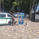 Perros hallaron cargamento de marihuana en Medellín.