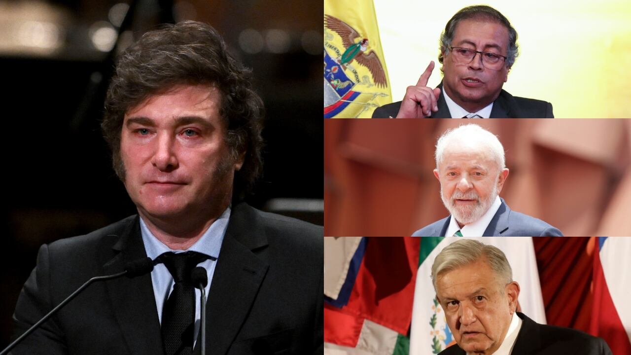 Esto fue lo que dijo Milei.