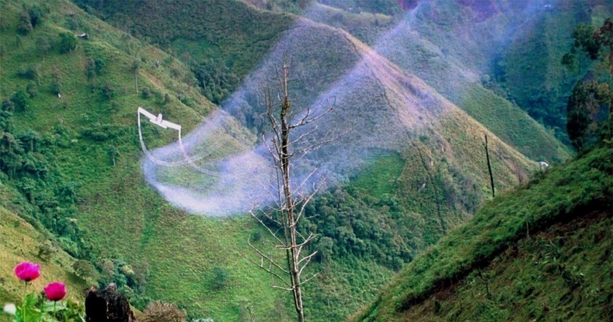 Lucha contra cultivos ilícitos debe fortalecerse