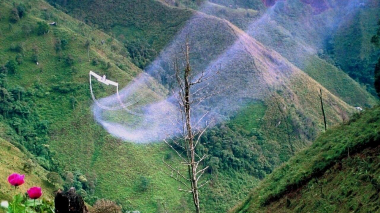 EE. UU. insiste en reanudación de fumigación