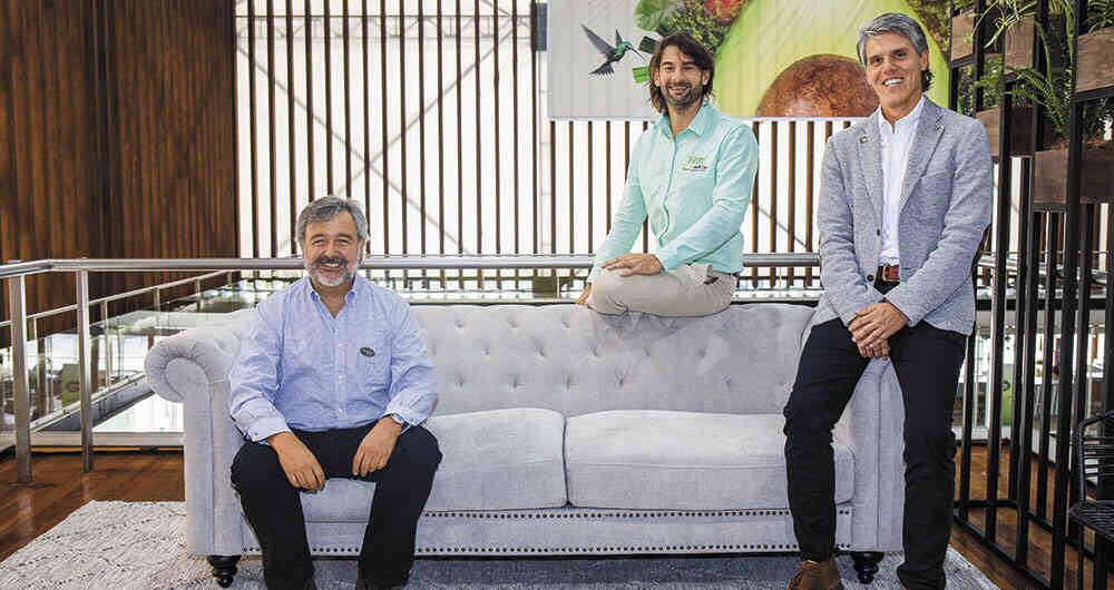 Pedro Aguilar, gerente de Westfalia Fruit; Juan David Restrepo, gerente de Hass Colombia, y Ricardo Uribe, gerente de Cartama.