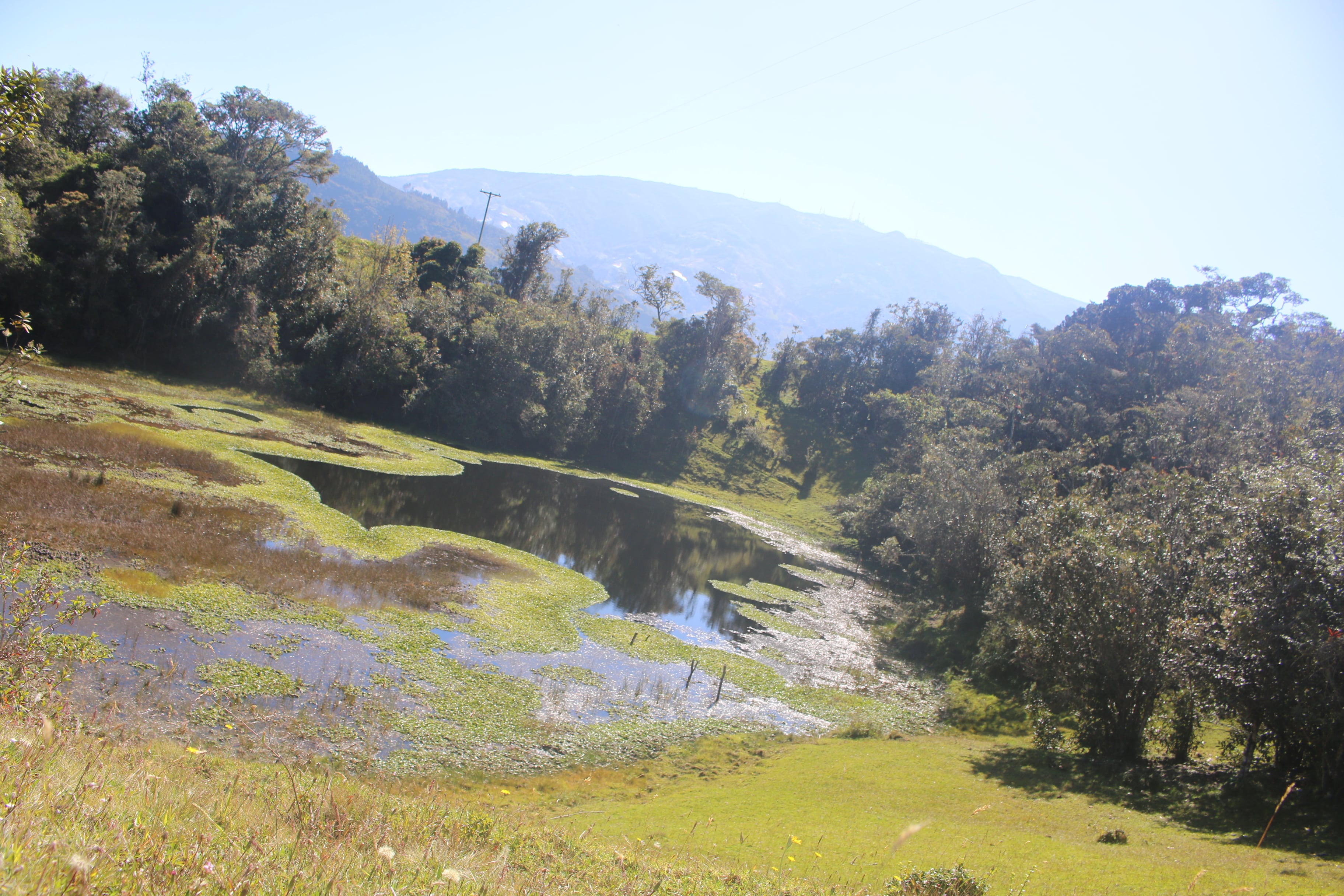 Laguna Ravicha, ubicada en el municipio de Mutiscua, Norte de Santander.