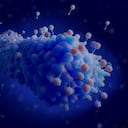 Foto de referencia sobre bacterias