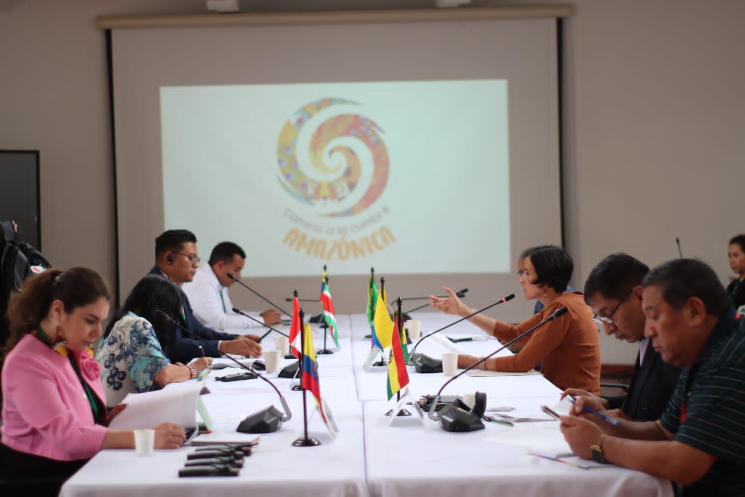 Cero deforestación, cero minería ilegal, conservación del ciclo del agua y participación vinculante; son las propuestas de Colombia para salvar la Amazonía