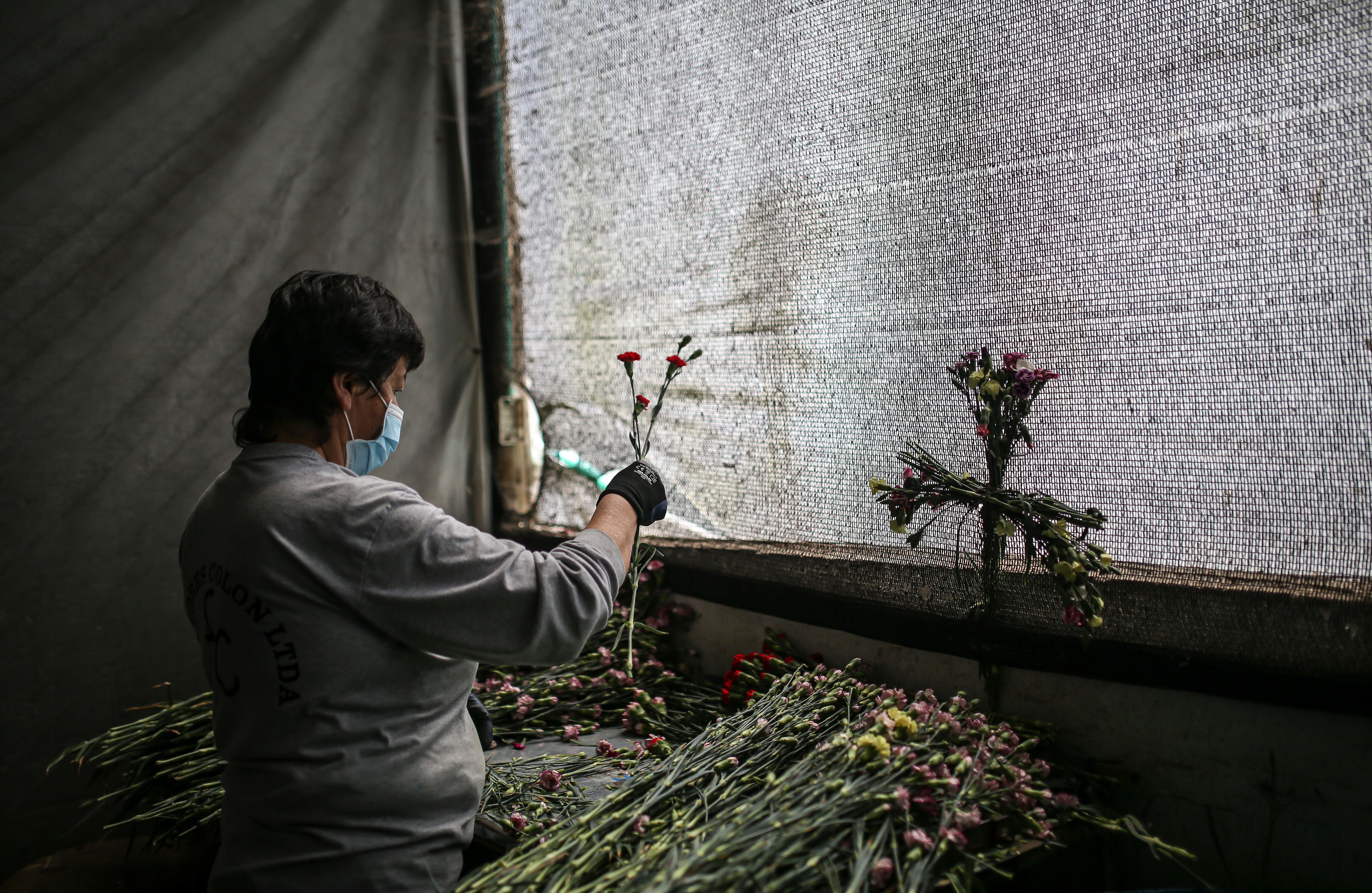 Flores, el regalo tradicional en el día de la madre