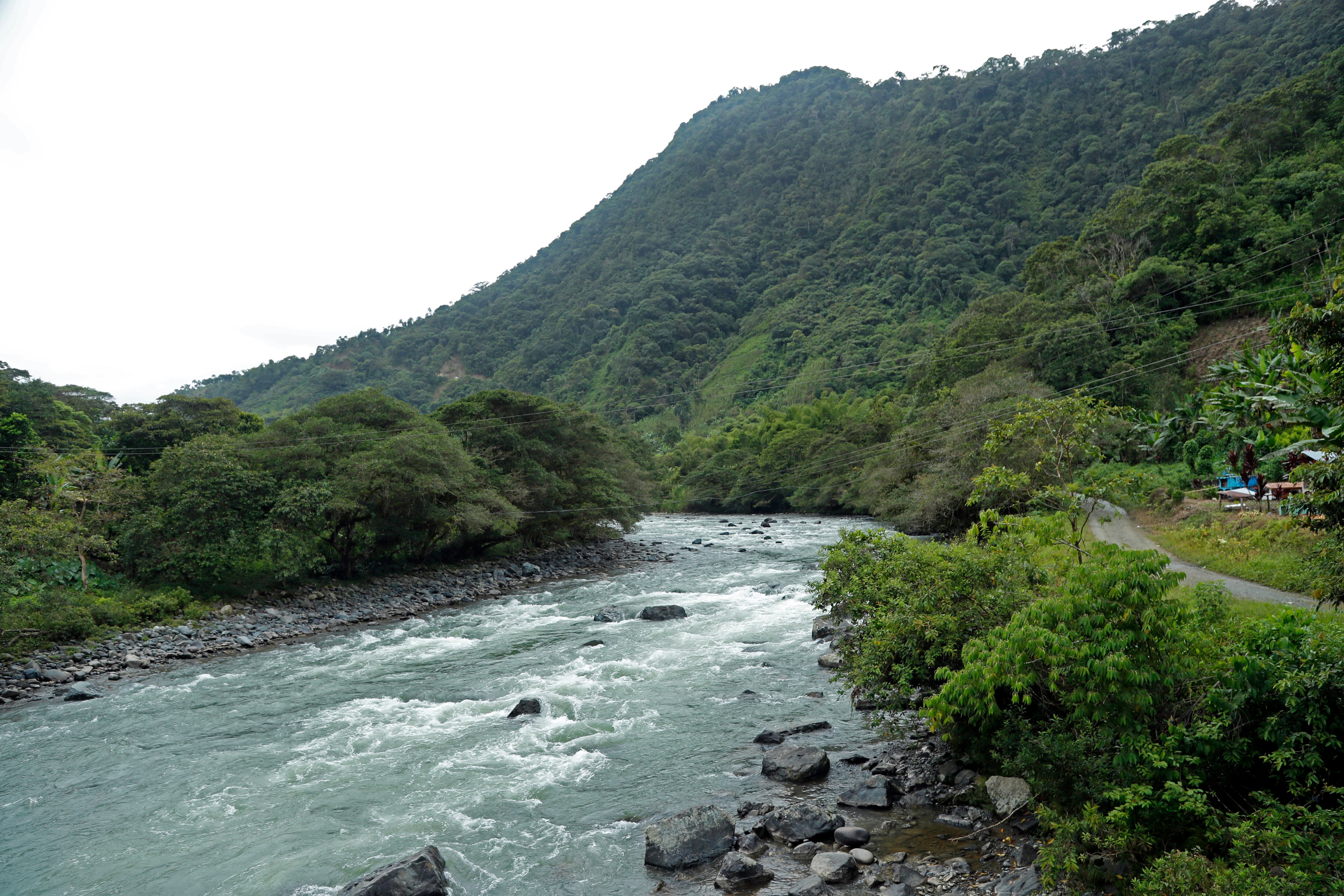 ndígenas Awá
Reserva Natural La Planada
Resguardo Pialapi-Pueblo Viejo
Nariño
Junio 12 de 2019
Foto León Darío Peláez/ Semana
