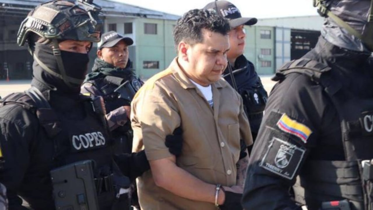 Digno Palomino, cabecilla de Los Pepes