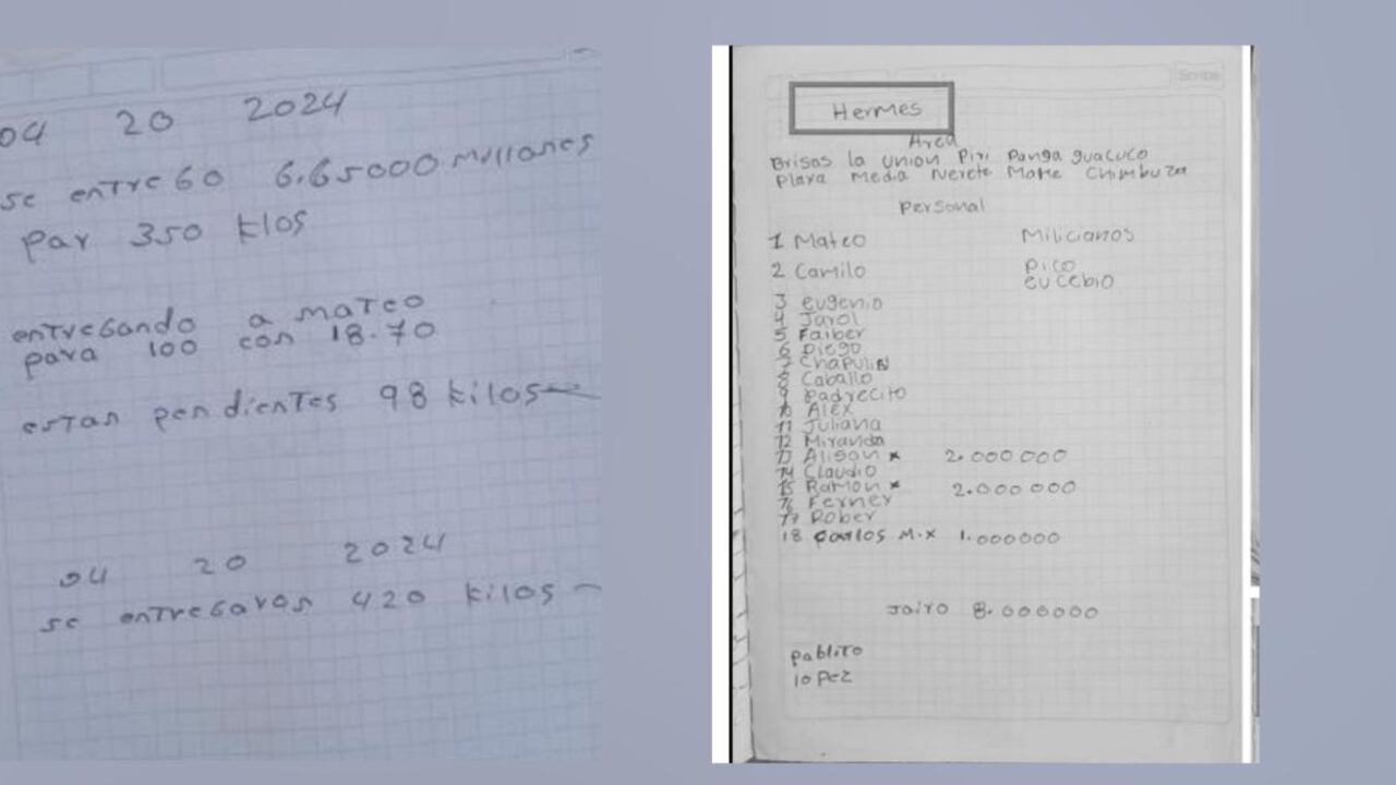 Los apuntes de cocaína y personal de alias Hermes, el cabecilla por el que el comisionado de paz, Otty Patiño, pidió perdón.