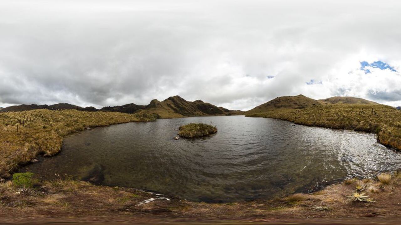 Una agencia francesa y la CVC firman acuerdo para proteger los páramos del departamento.