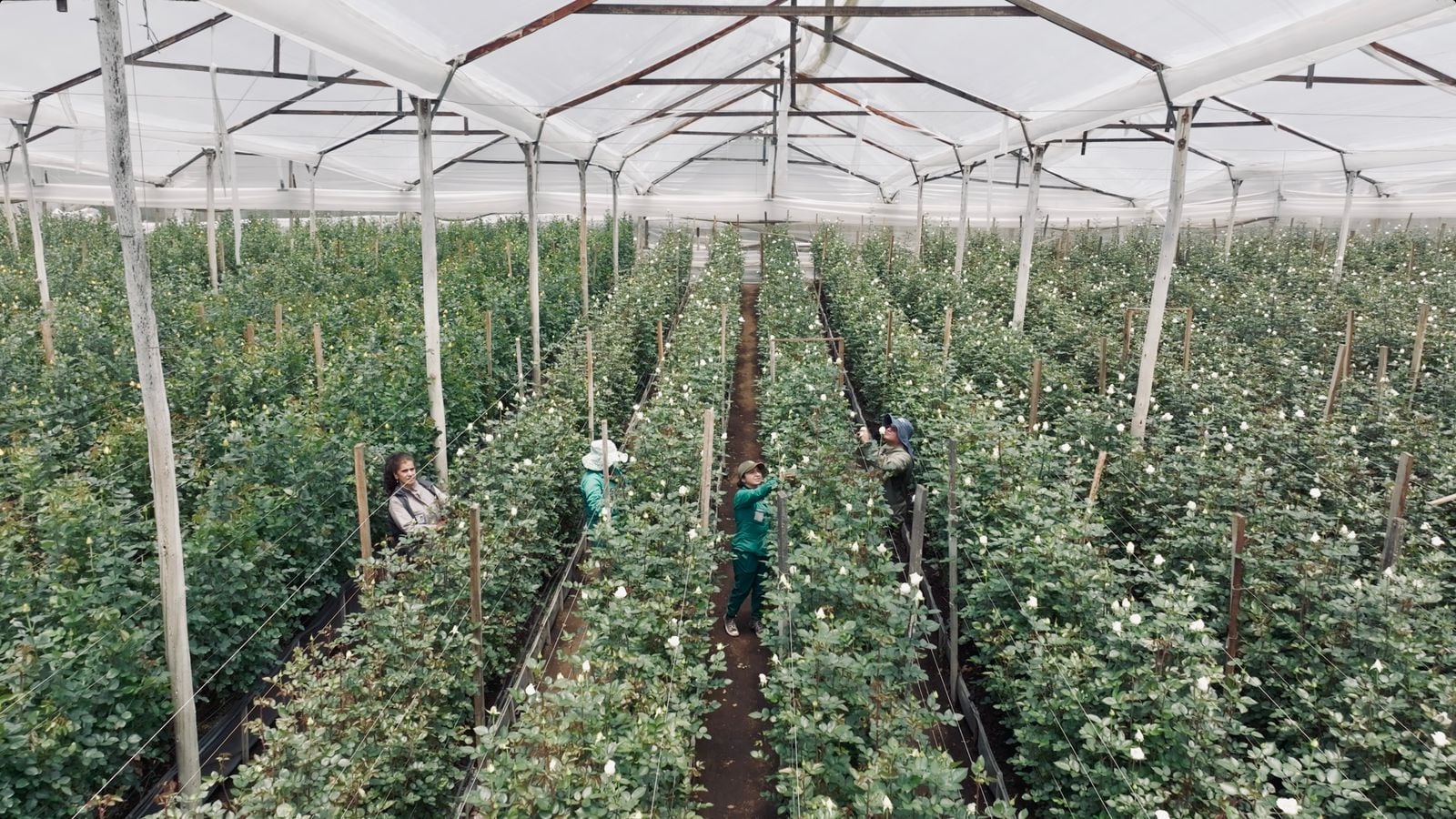 Patria - Gran Foro Colombia 2026