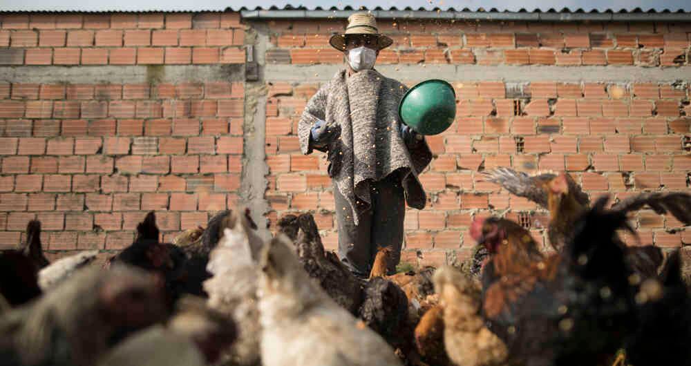 ¿Qué podemos aprender para aplicar después del coronavirus?