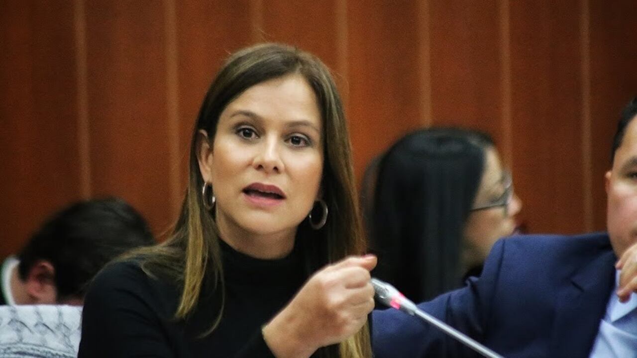 Maritza Martínez, senadora del partido de La U, pide al Gobierno frenar los procesos de enajenación de empresas del Estado.