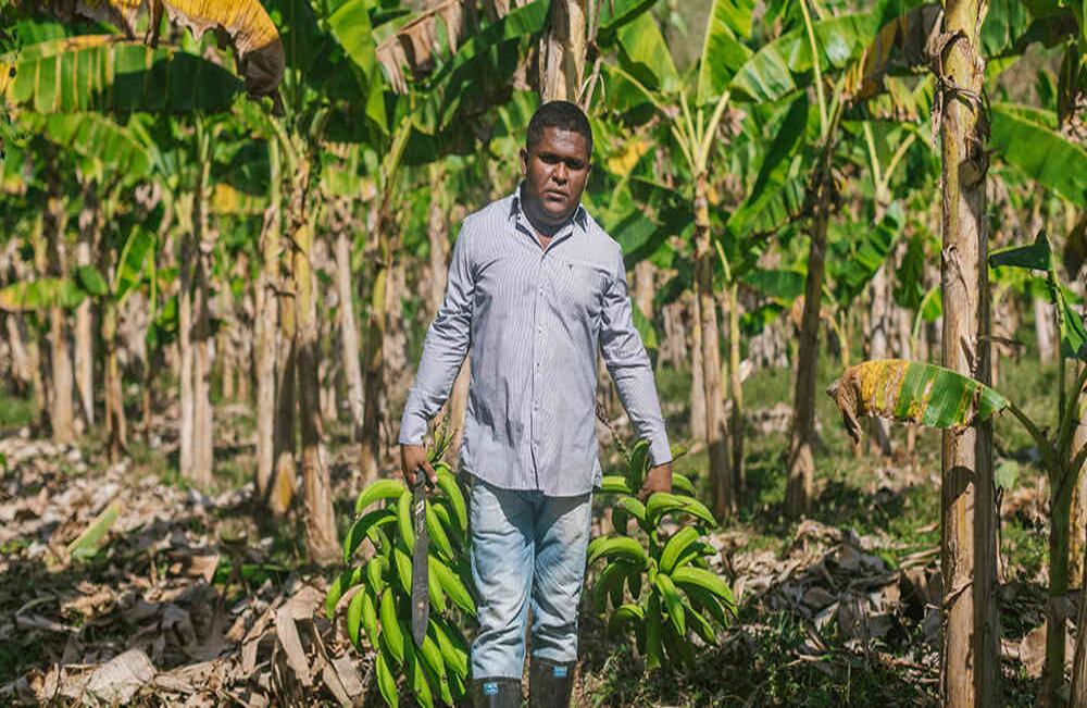 Fueron más de 60 familias campesinas de Vigía del Fuerte (Antioquia) las que recibieron dotación de equipos para comercializar plátanos. Foto: Cortesía Ministerio de Agricultura