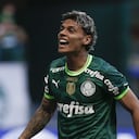 El volante colombiano anotó para el Palmeiras
