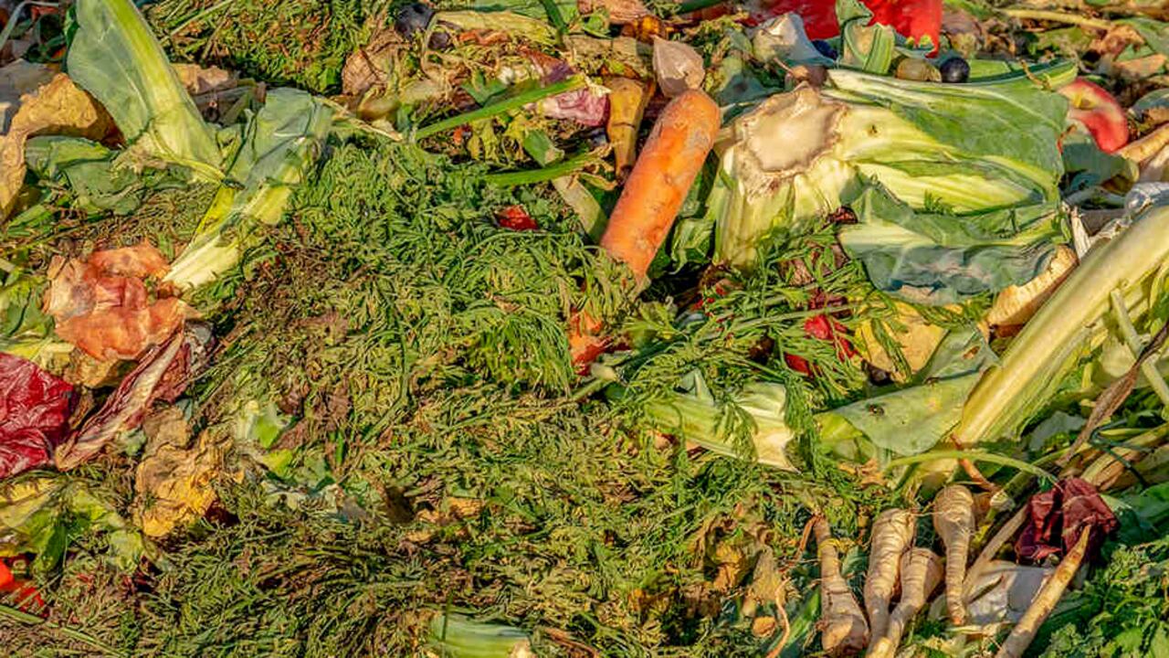 9,76 millones de toneladas se pierden y desperdician en el país cada año, según el Departamento Nacional de Planeación (DNP).