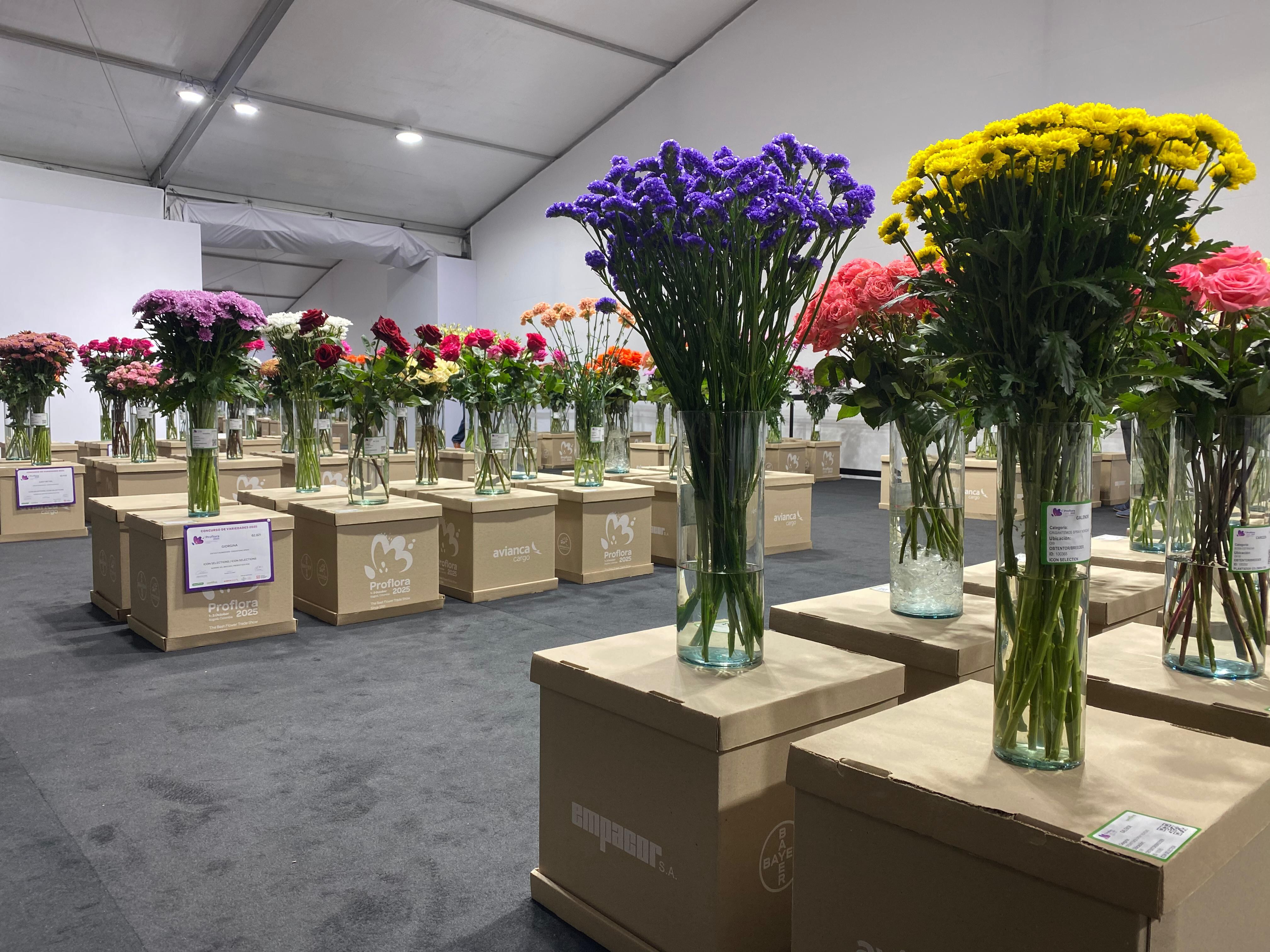 Exposición de hibridración de flores en el marco de Proflora 2025. Proceso donde se unen dos especies distintas para crear una nueva planta que combine las características de ambas.