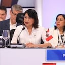 La ministra de Exteriores de Perú, Ana Cecilia Gervasi aseguró, en el marco de ese evento, que “si Pedro Castillo no está hoy aquí, es porque dio un golpe de Estado”.