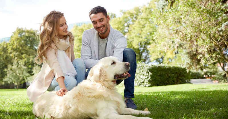 la prometida afirmó que tras la emergencia se logró la emisión rápida del documento y, “lo más importante es que nos casaremos y tomaremos ese vuelo el viernes”.