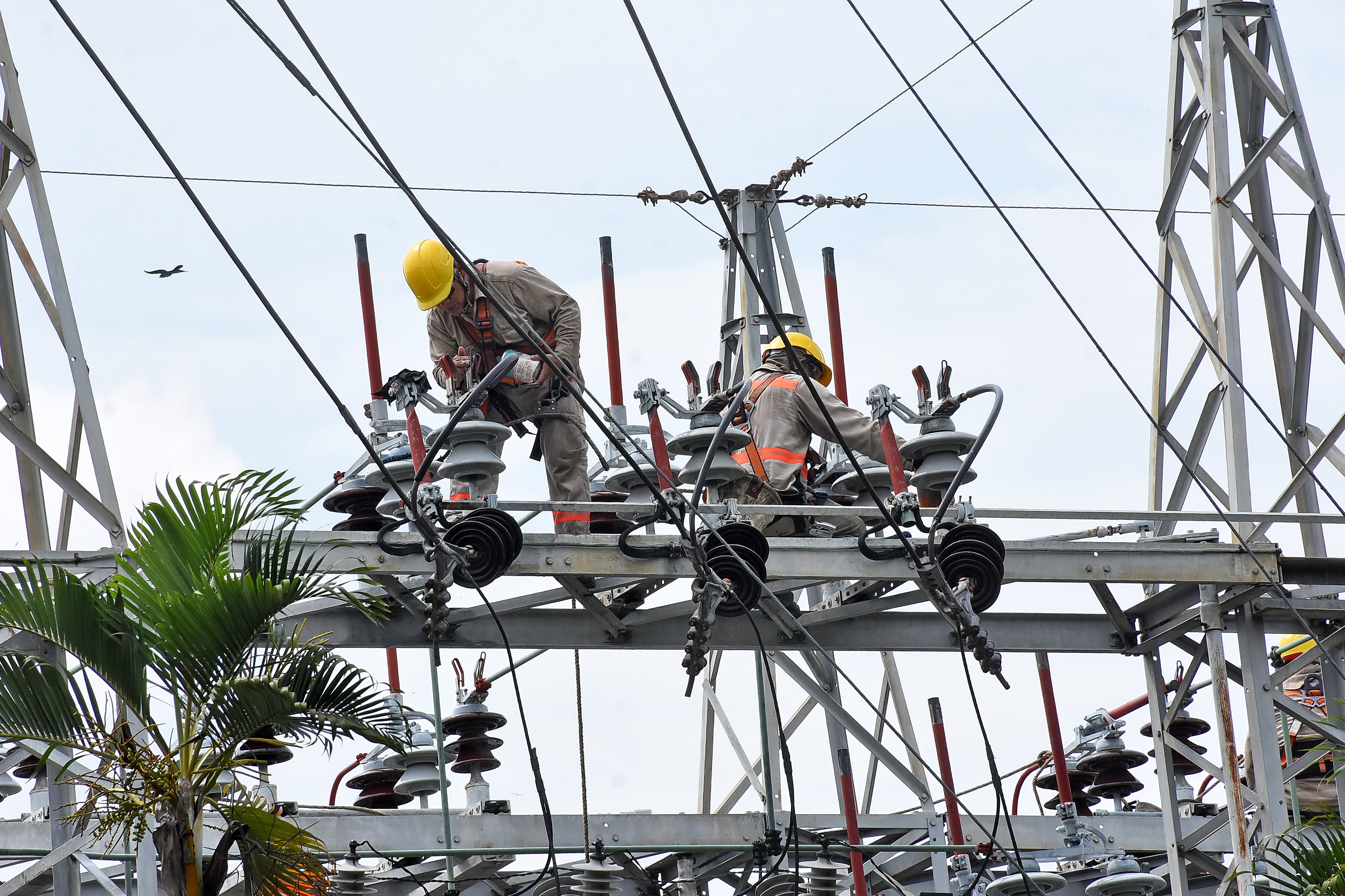 Mantenimiento de redes eléctricas de Emcali, Planta Puerto Mallarino.