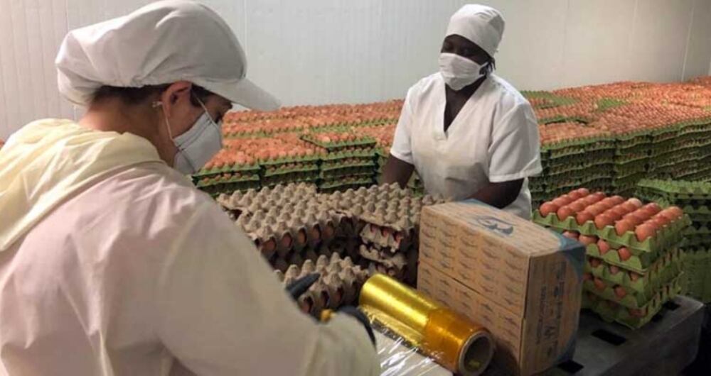 La Procuraduría ya abrió una indagación previa a las entidades incursas en el funcionamiento del Programa de Alimentación Escolar (PAE) en  Cundinamarca.