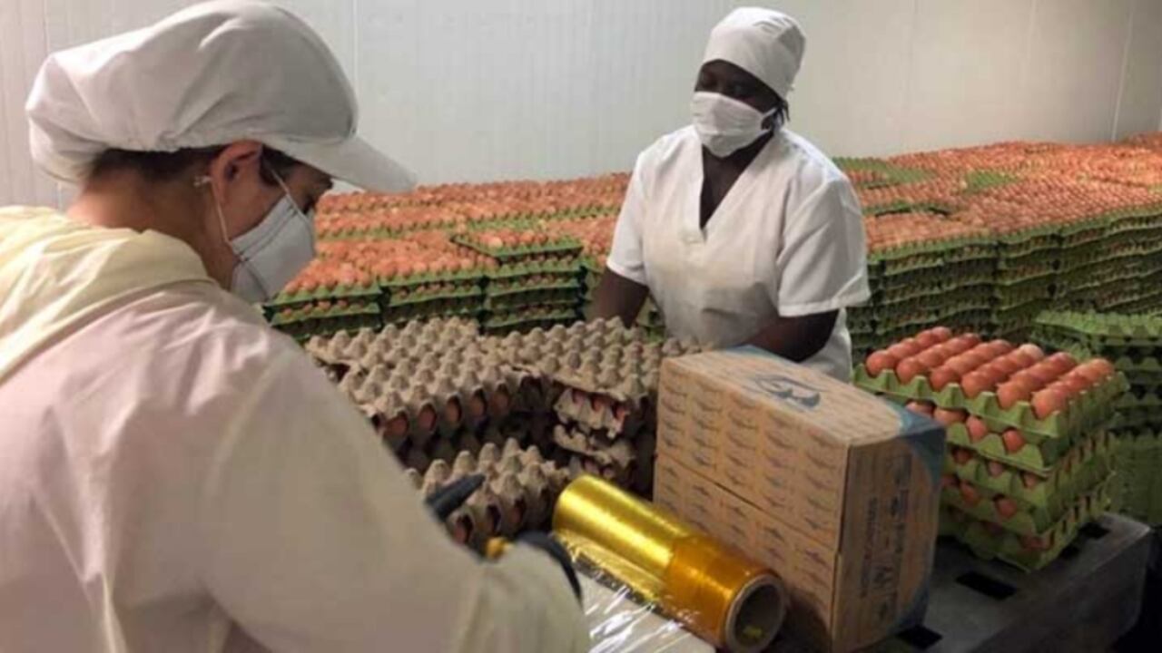 El PAE es el programa de alimentación escolar, en el que deben garantizarle la nutrición a los escolares del país.