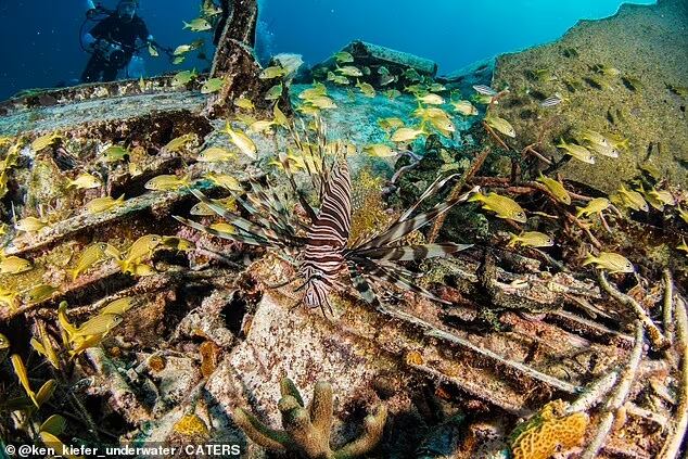 Avión de Pablo Escobar hundido en el Caribe