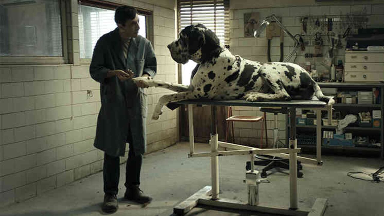 'Dogman', de Matteo Garrone, se estrena en Colombia el próximo 26 de septiembre.